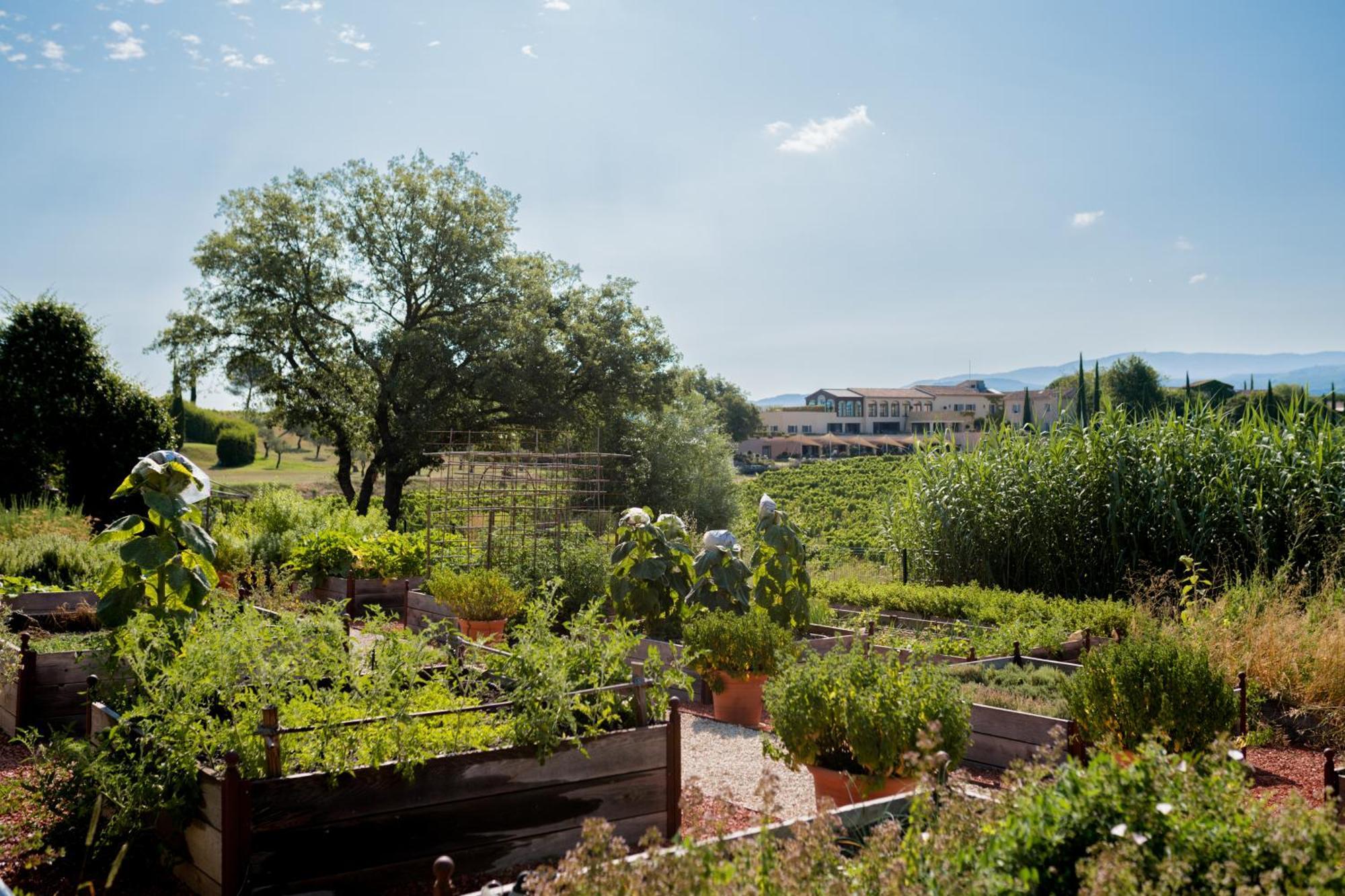 Coquillade Provence Hotell Gargas  Exteriör bild
